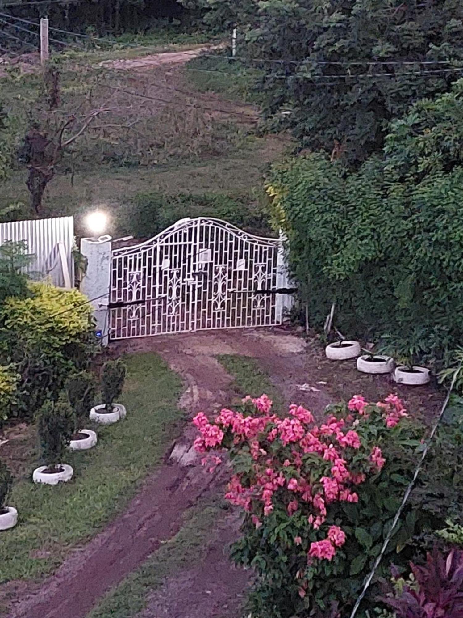 Alex'S Place - Tim Pappies Port Antonio Exterior foto