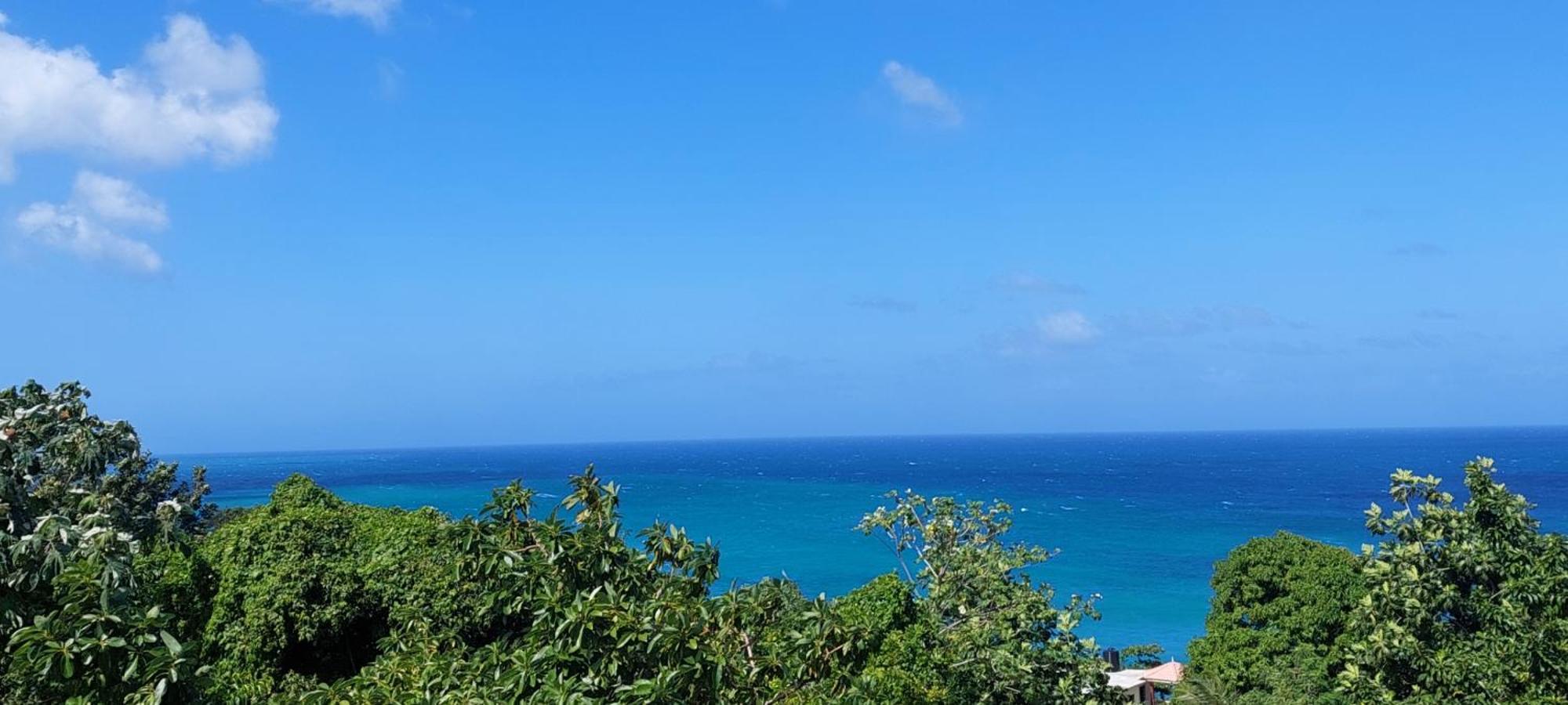 Alex'S Place - Tim Pappies Port Antonio Exterior foto
