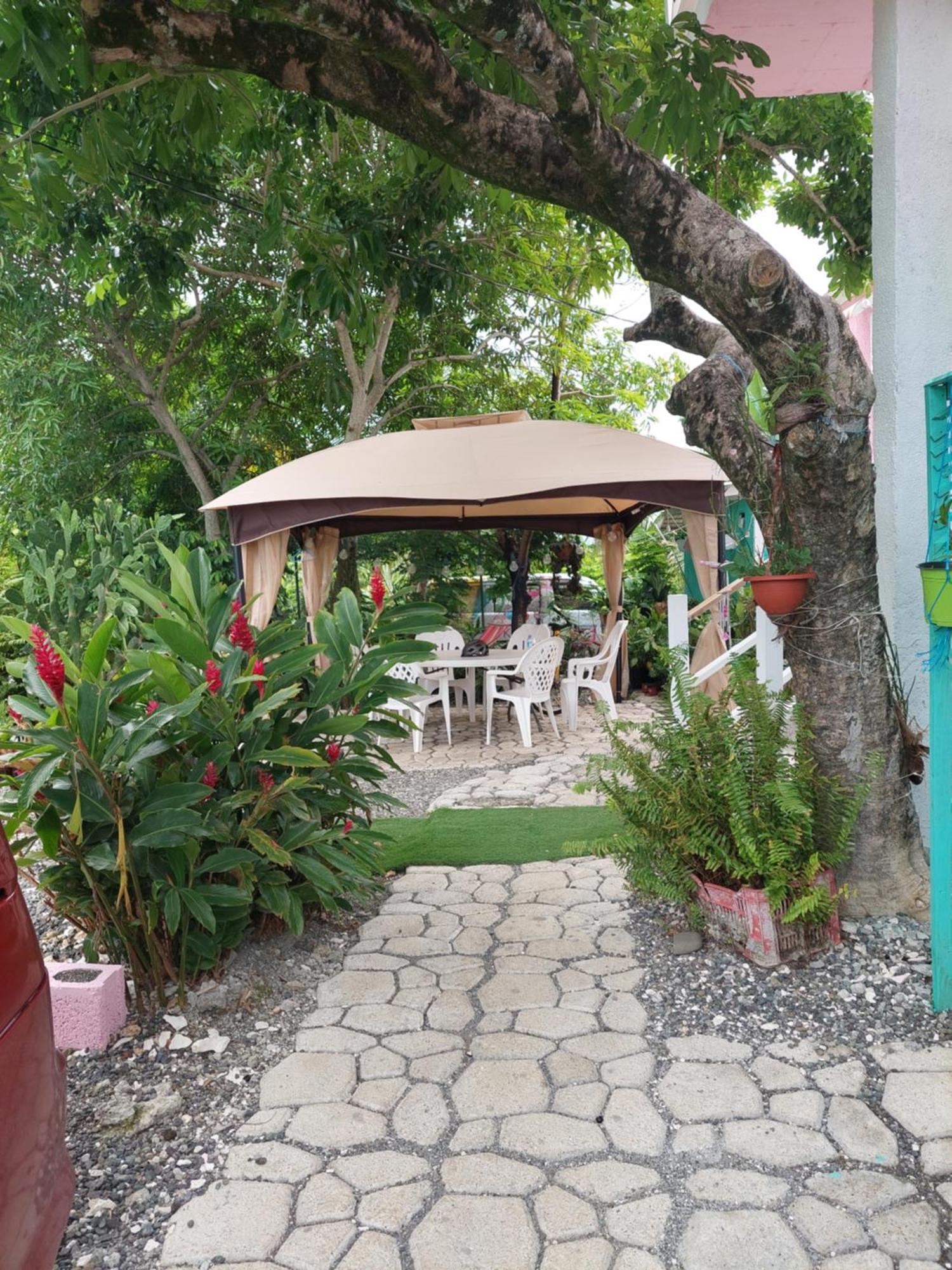 Alex'S Place - Tim Pappies Port Antonio Exterior foto
