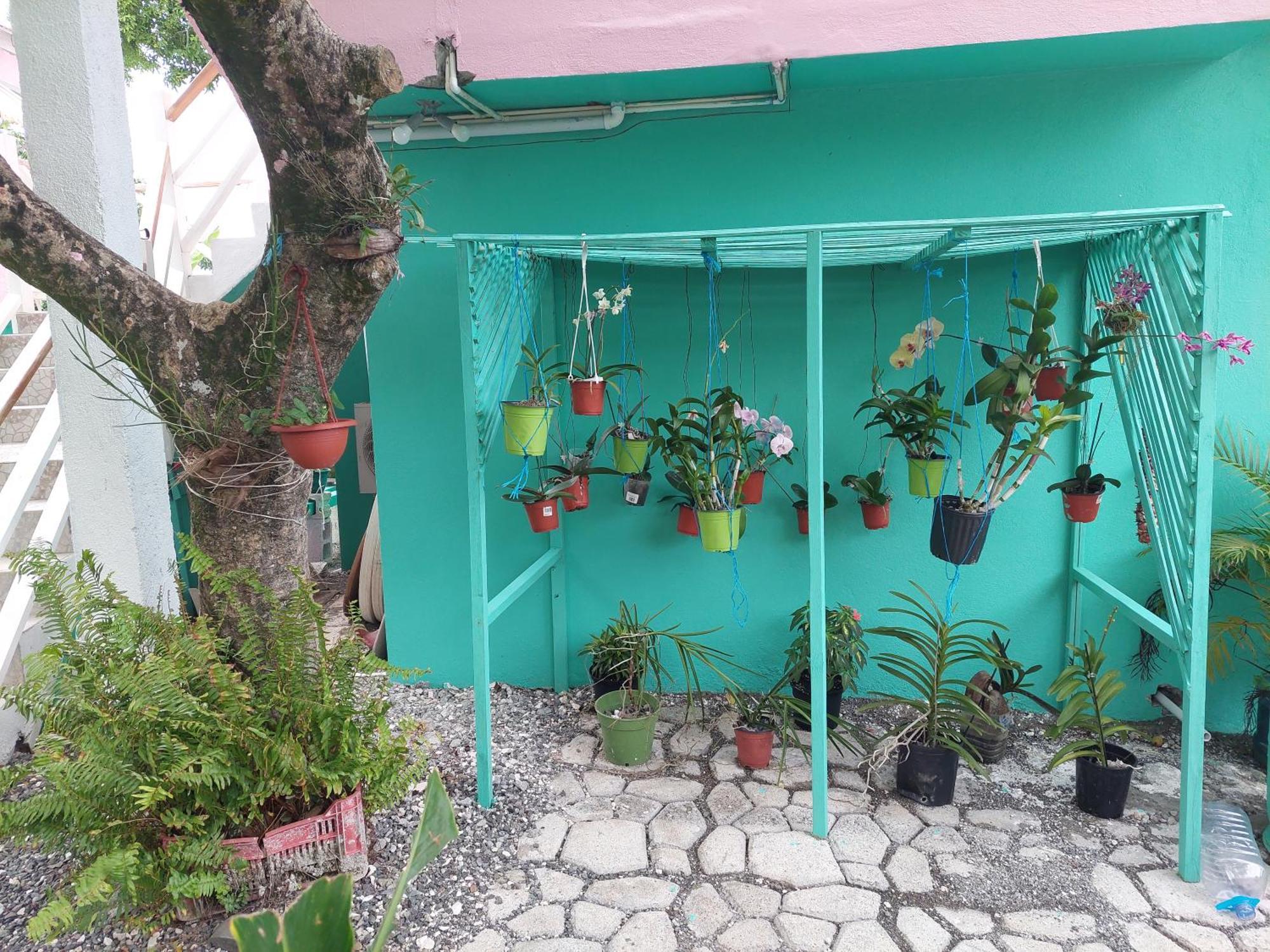 Alex'S Place - Tim Pappies Port Antonio Exterior foto