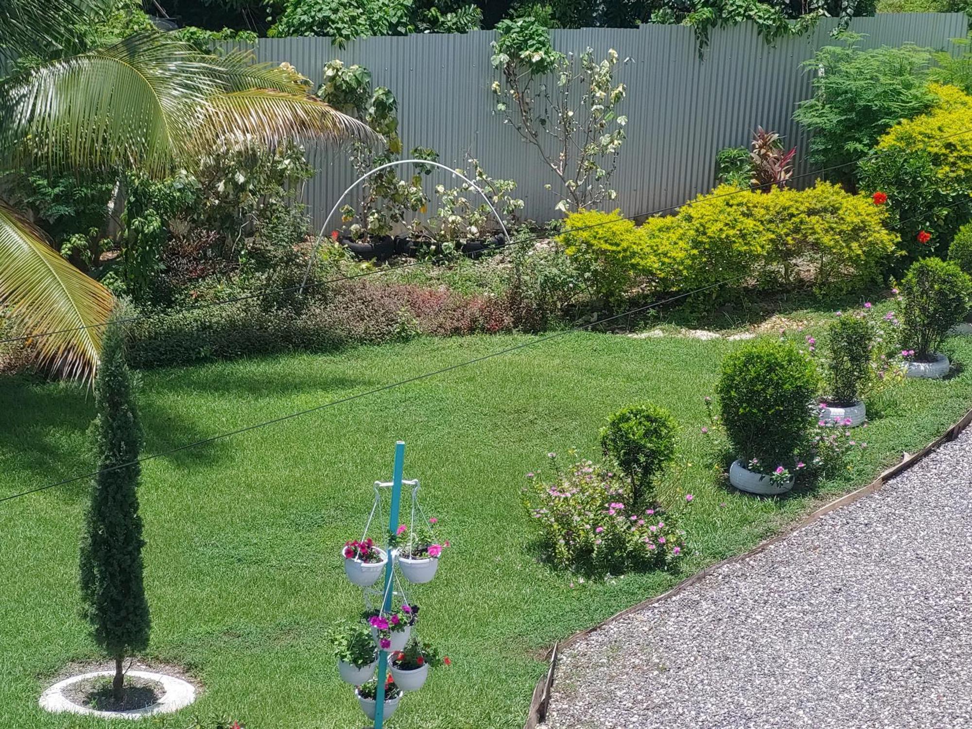 Alex'S Place - Tim Pappies Port Antonio Exterior foto